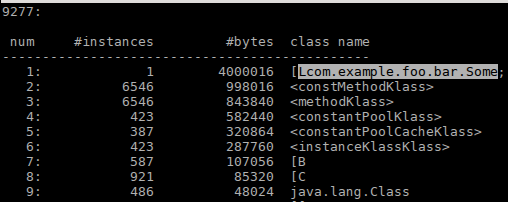 Figure 3: jcmd GC.class_histogram output example (highlighted for emphasis)